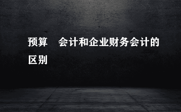 预算 会计和企业财务会计的区别