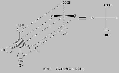 费歇尔投影式的介绍