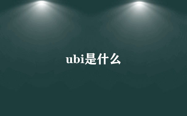 ubi是什么