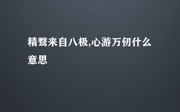 精骛来自八极,心游万仞什么意思