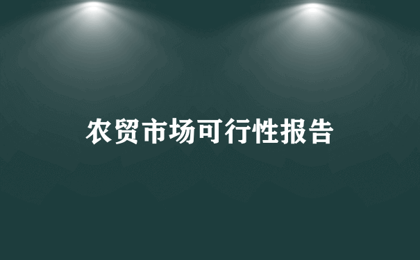 农贸市场可行性报告