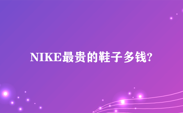 NIKE最贵的鞋子多钱?