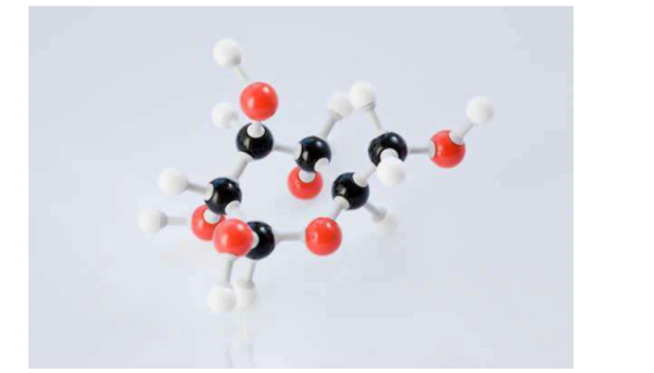糖类的分类