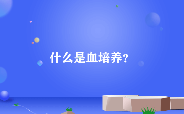 什么是血培养？