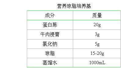 菌落总数的检验方法