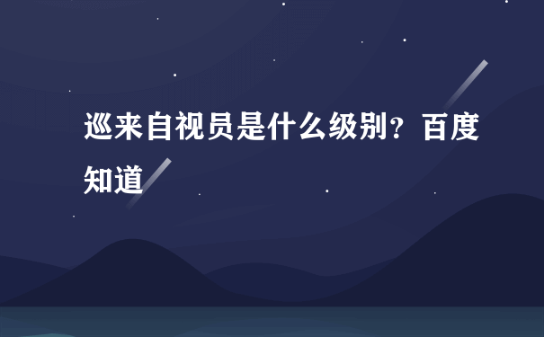 巡来自视员是什么级别？百度知道