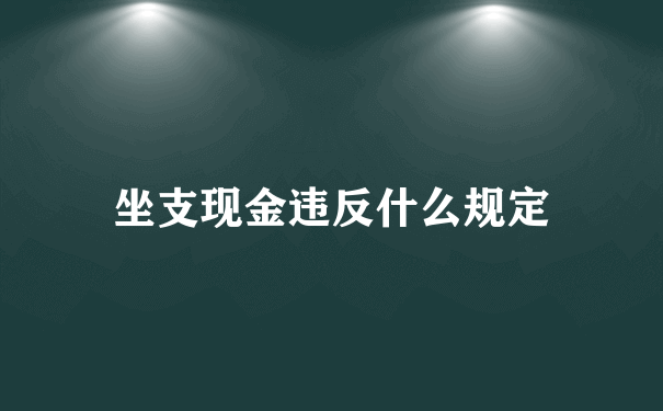 坐支现金违反什么规定