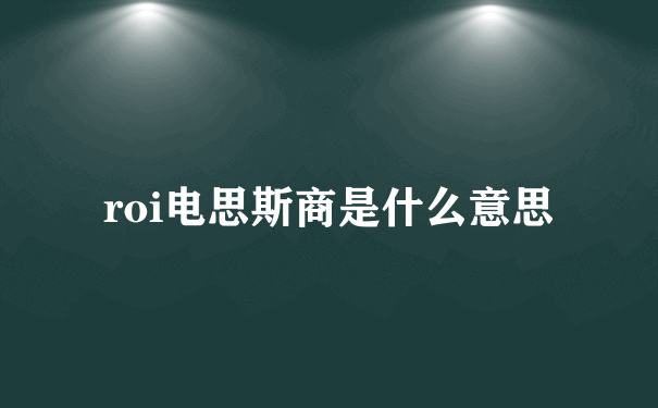 roi电思斯商是什么意思