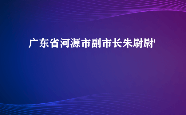 广东省河源市副市长朱尉尉'