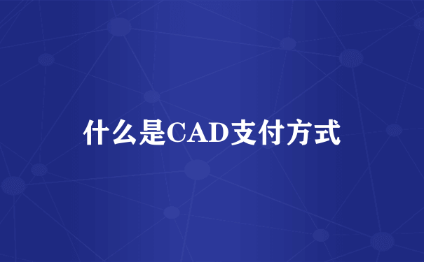 什么是CAD支付方式