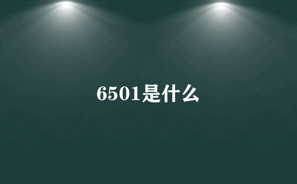 6501是什么