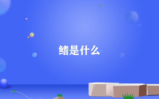 鳍是什么