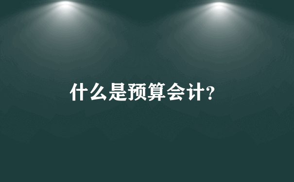 什么是预算会计？