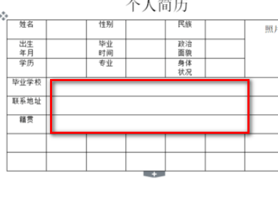 个人简历表格word格式