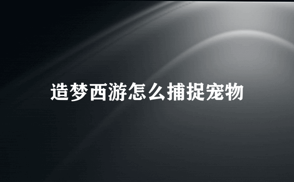 造梦西游怎么捕捉宠物