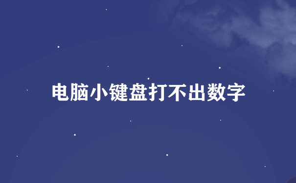 电脑小键盘打不出数字