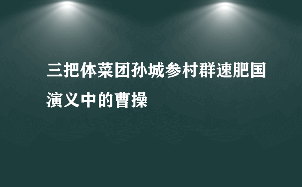 三把体菜团孙城参村群速肥国演义中的曹操