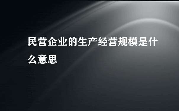 民营企业的生产经营规模是什么意思