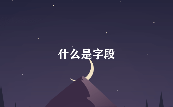 什么是字段