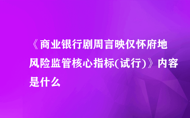 《商业银行剧周言映仅怀府地风险监管核心指标(试行)》内容是什么