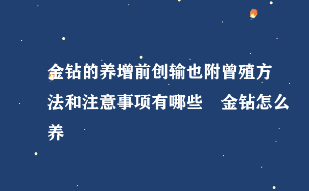 金钻的养增前创输也附曾殖方法和注意事项有哪些 金钻怎么养