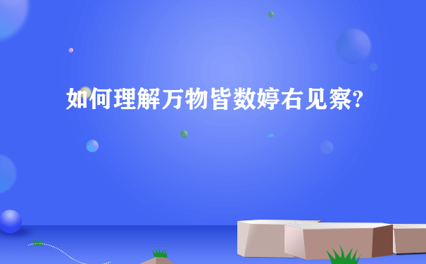 如何理解万物皆数婷右见察?