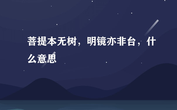 菩提本无树，明镜亦非台，什么意思