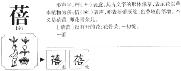 明明是蓓(bei第四声)，为什么那么多人念蓓(pei第二声)?