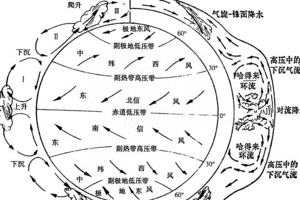 三圈环流示意图。图示。