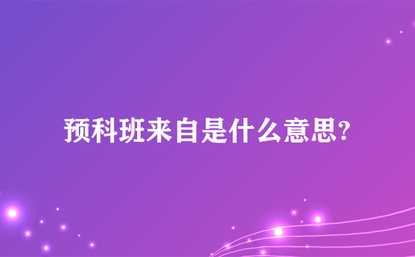 预科班来自是什么意思?