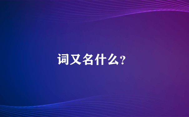 词又名什么？