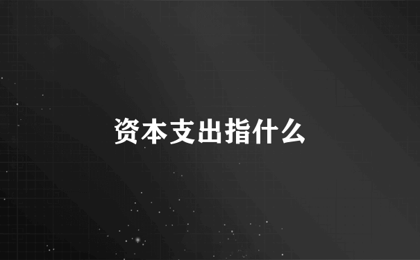 资本支出指什么