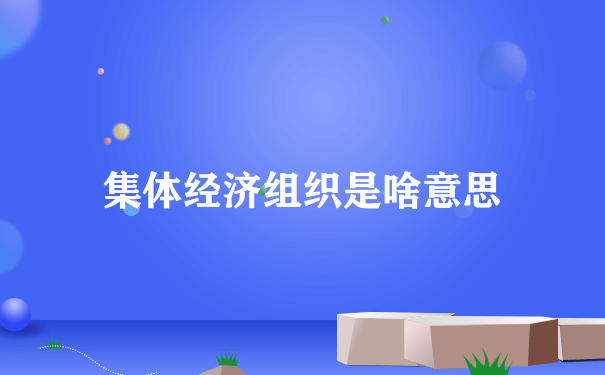 集体经济组织是啥意思