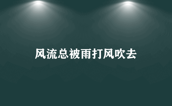 风流总被雨打风吹去