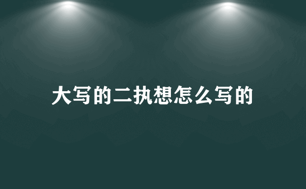 大写的二执想怎么写的