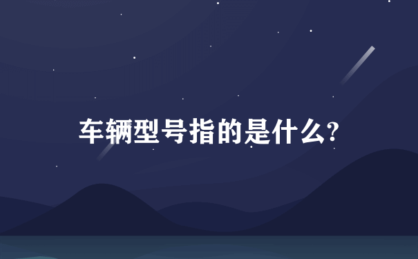 车辆型号指的是什么?