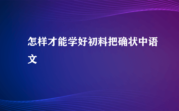 怎样才能学好初料把确状中语文