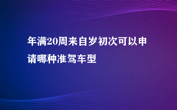 年满20周来自岁初次可以申请哪种准驾车型