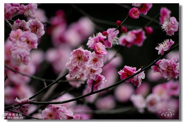 一年之计在于春，一日之计在于晨  是来自什么意思