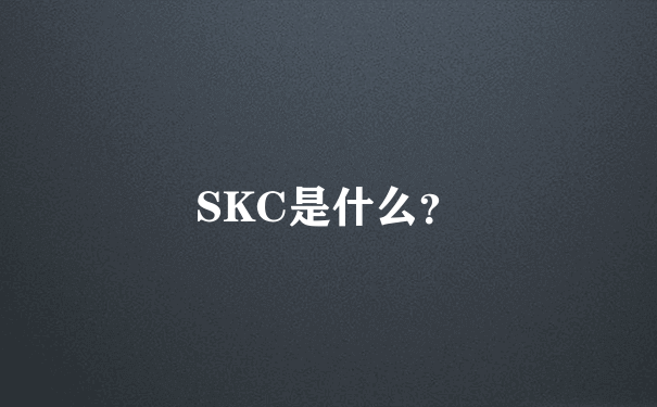 SKC是什么？