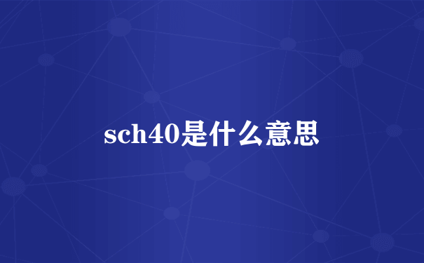 sch40是什么意思