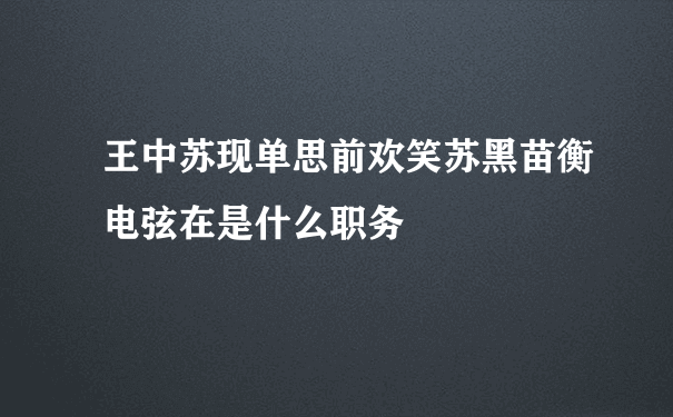 王中苏现单思前欢笑苏黑苗衡电弦在是什么职务