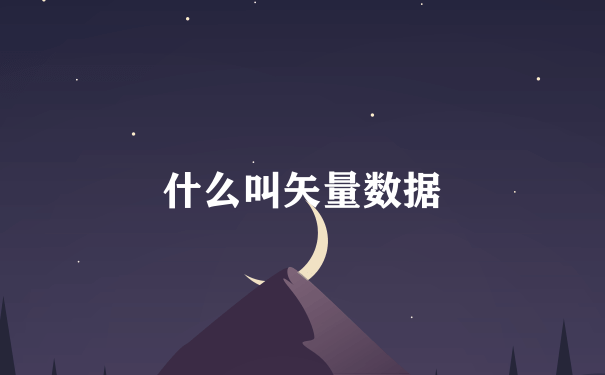 什么叫矢量数据