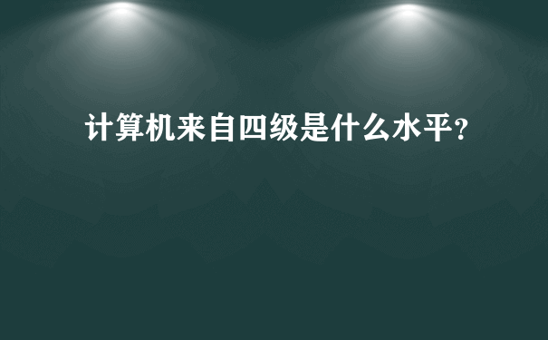 计算机来自四级是什么水平？