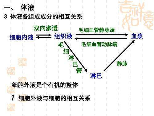 细胞外液的成分