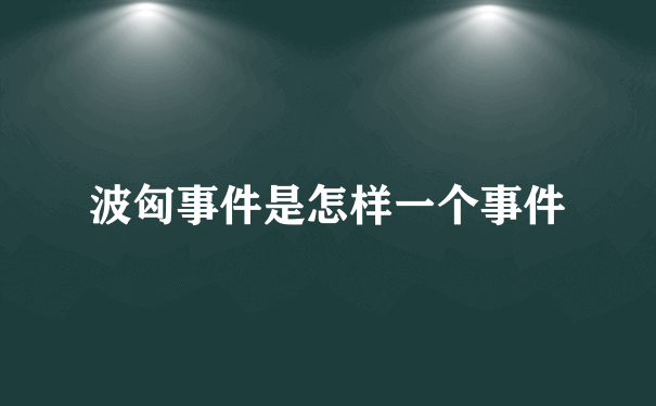 波匈事件是怎样一个事件