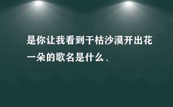 是你让我看到干枯沙漠开出花一朵的歌名是什么、