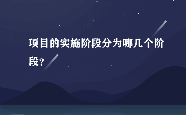 项目的实施阶段分为哪几个阶段？