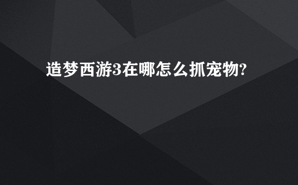 造梦西游3在哪怎么抓宠物?