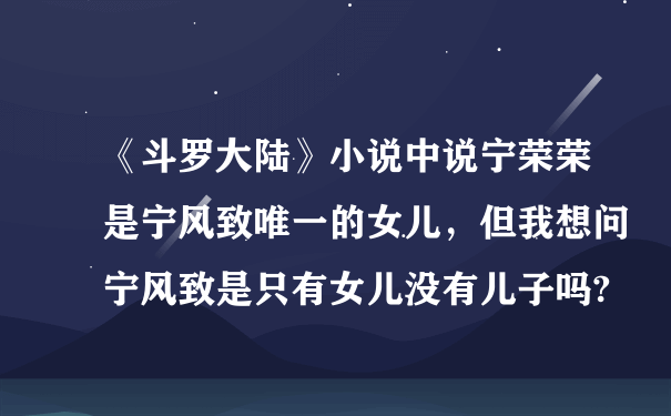 《斗罗大陆》小说中说宁荣荣是宁风致唯一的女儿，但我想问宁风致是只有女儿没有儿子吗?